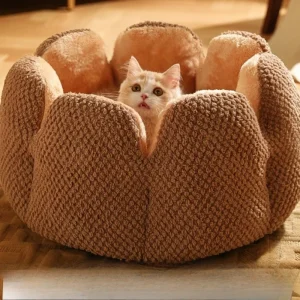 couchage panier chien