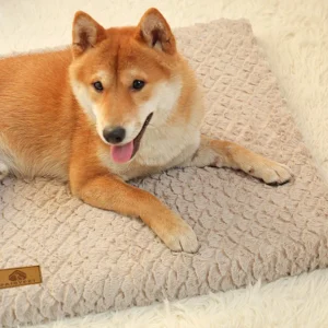 lit pour chien moderne