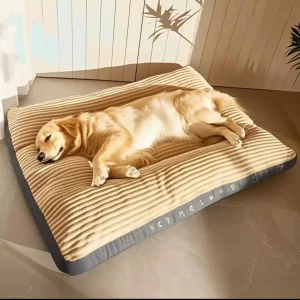 panier pour chien confortable
