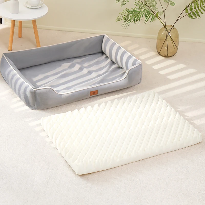 confort du chien