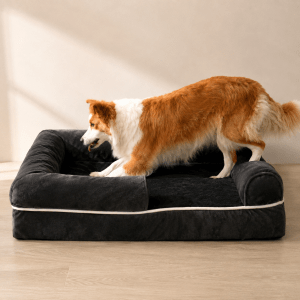 orthopédique panier chien