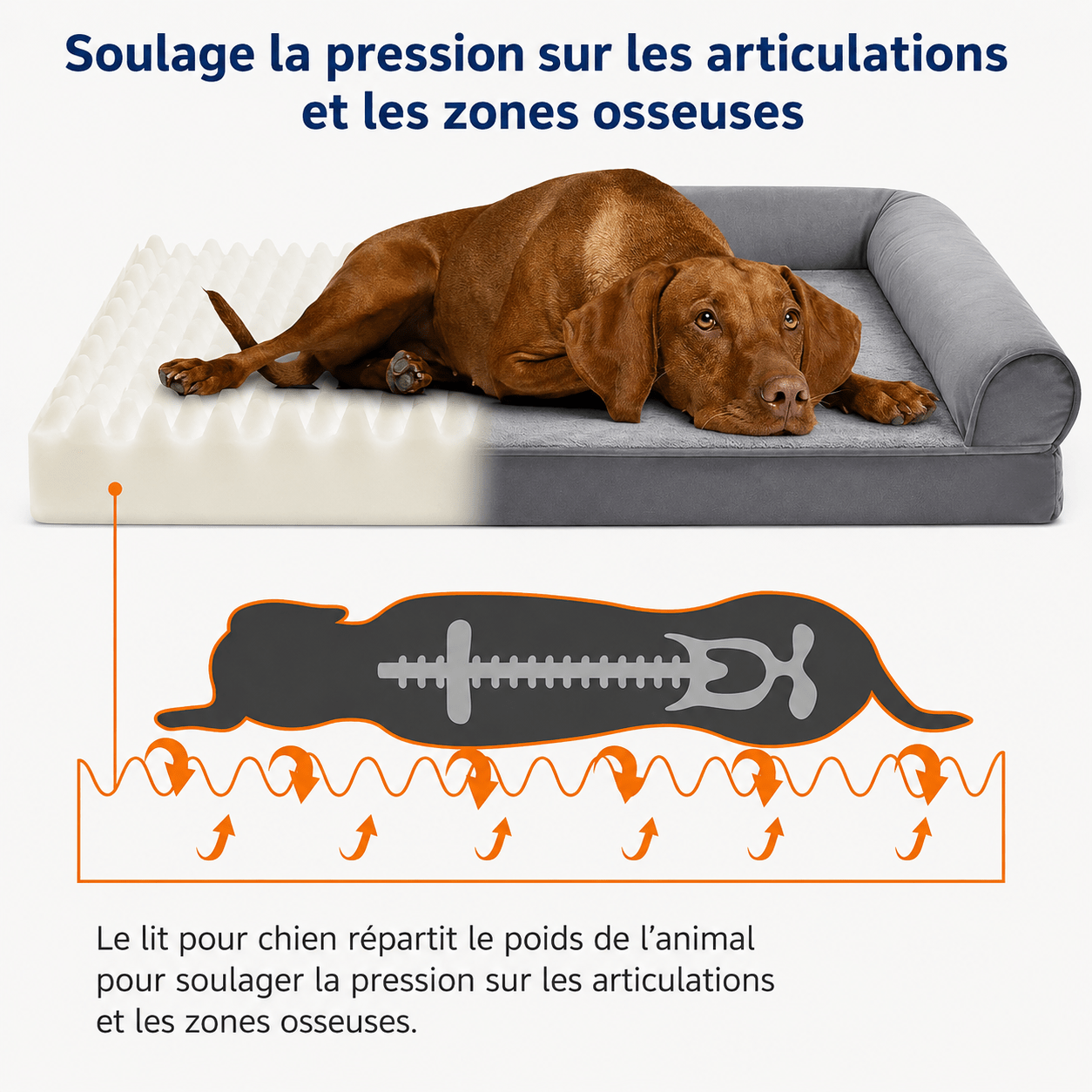 design élégant panier chiens