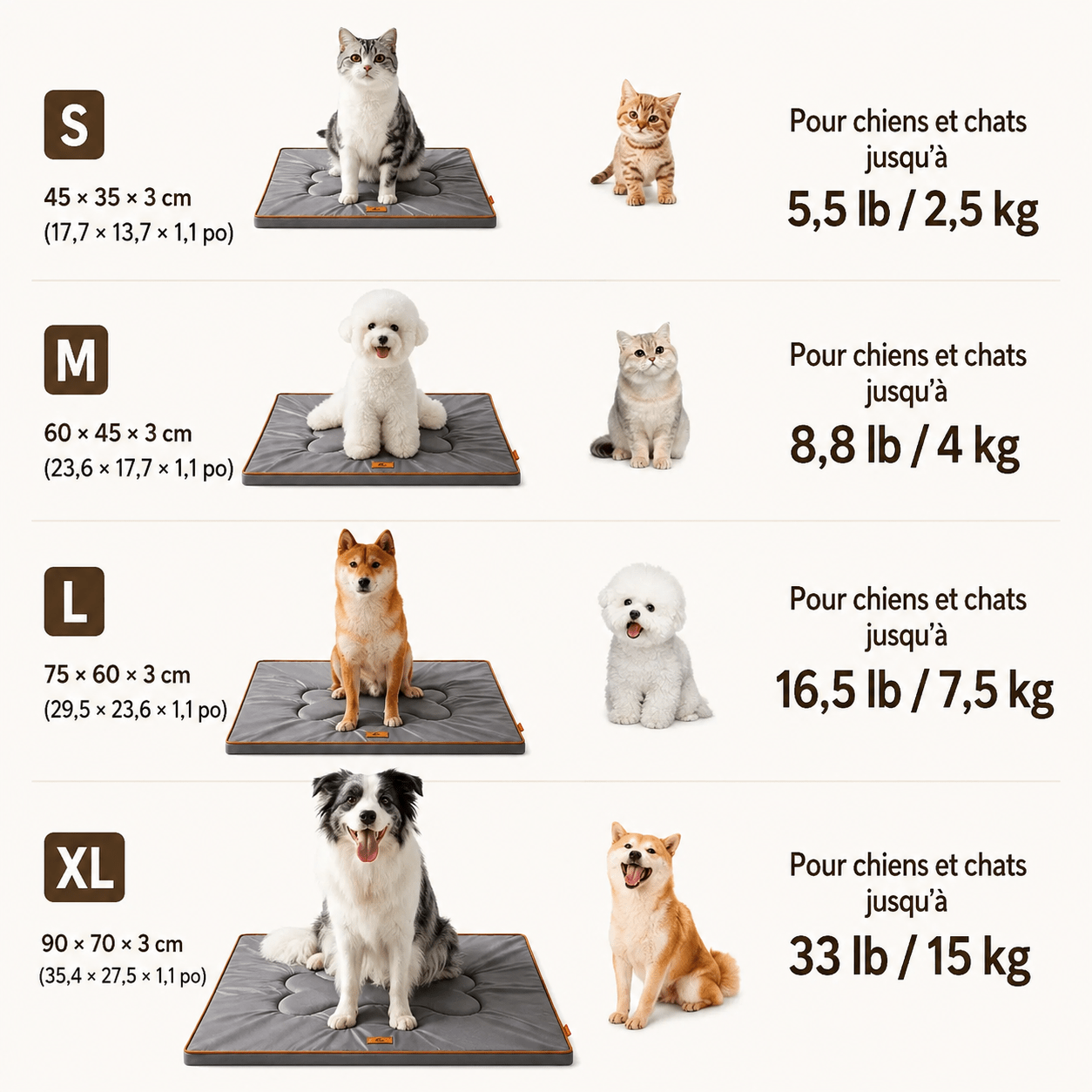 panier pour chien design