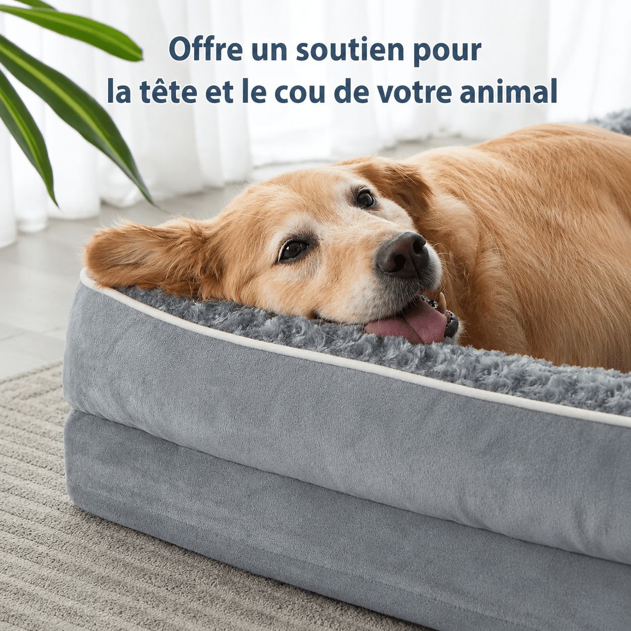 lit confortable pour grand chien