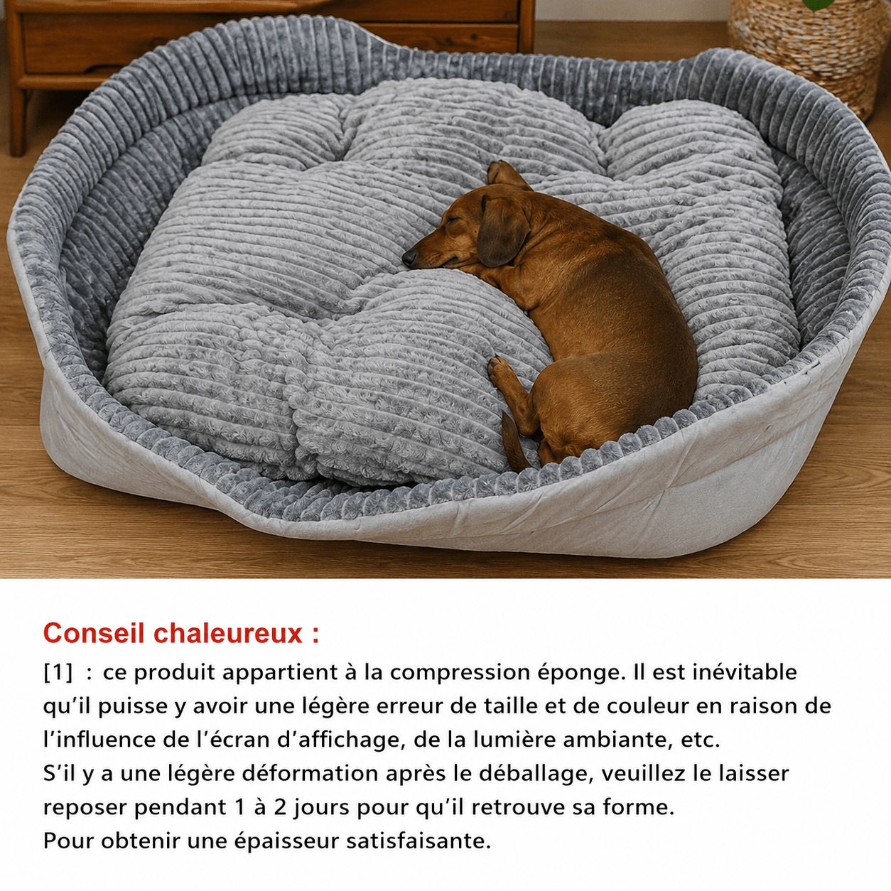 confort chic pour chien