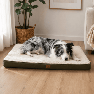 coussin pour panier chien en plastique