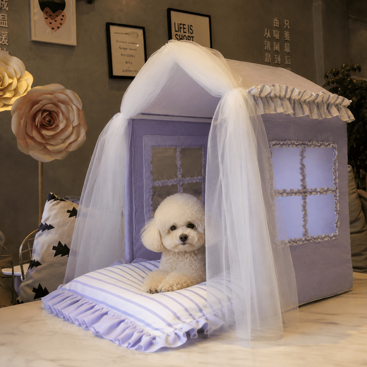 panier pour chien princesse