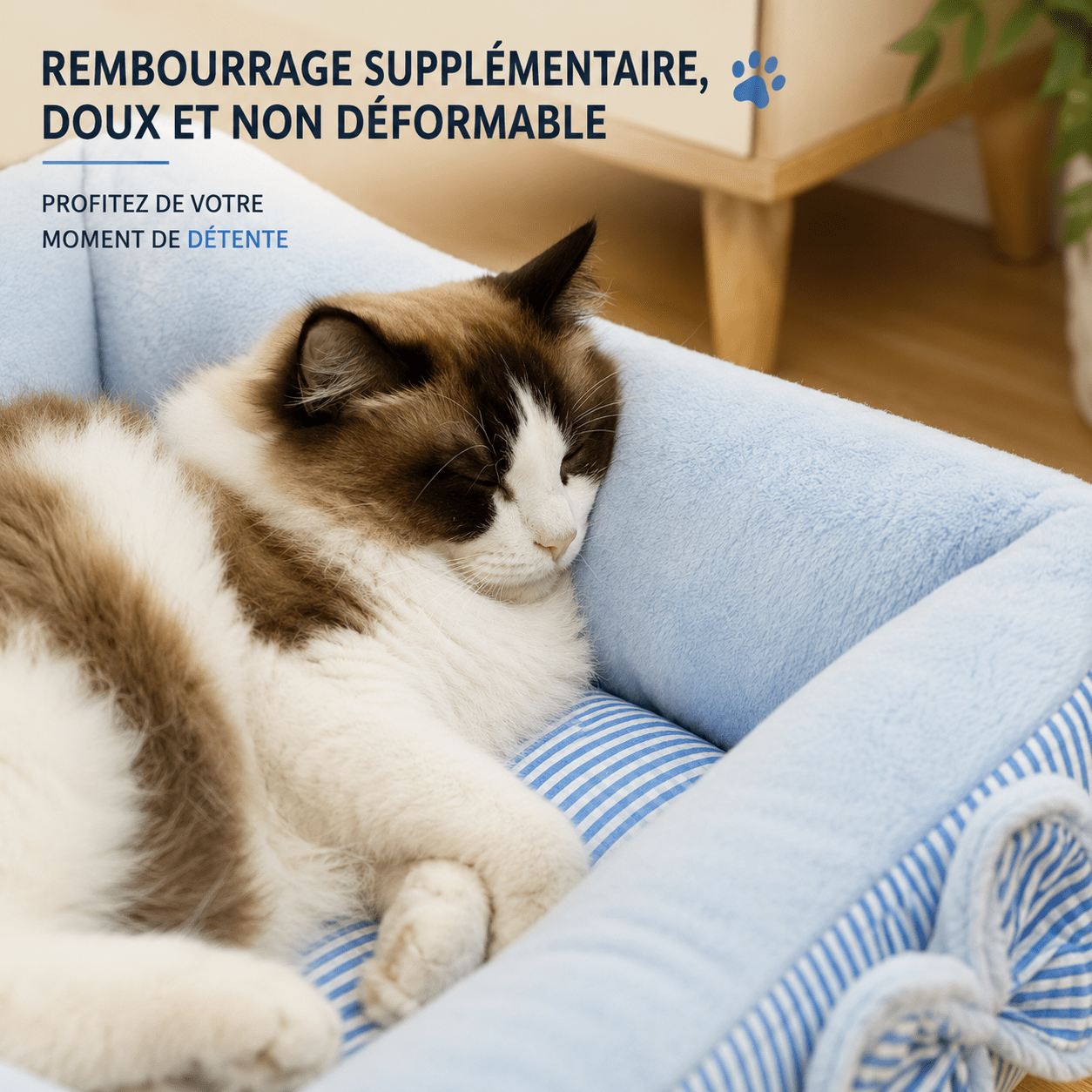 intérieur élégant avec panier pour chien