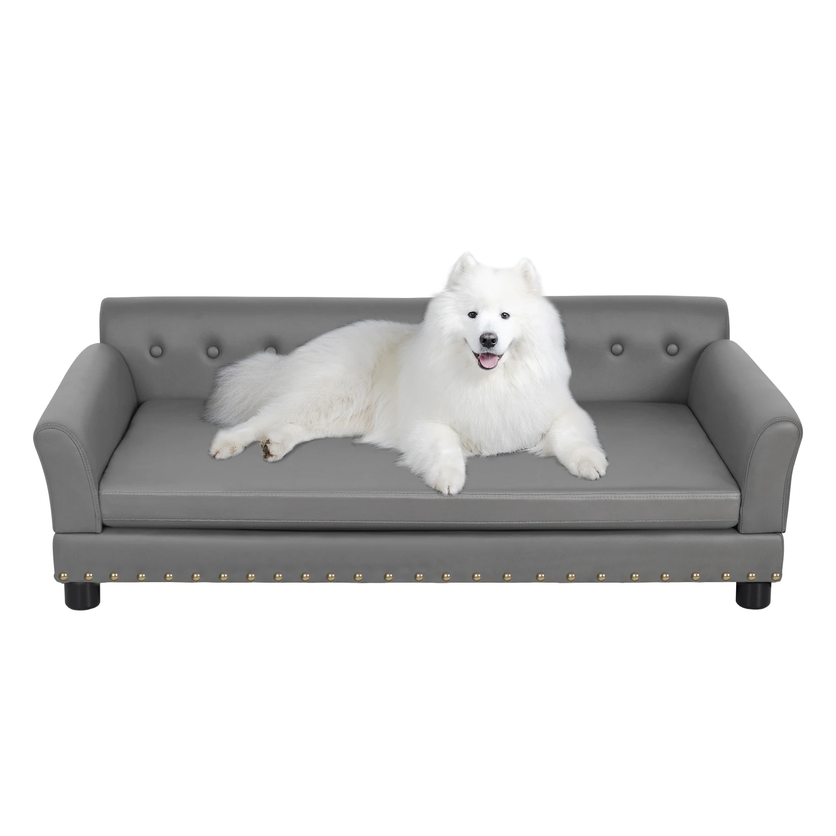 panier design pour chien