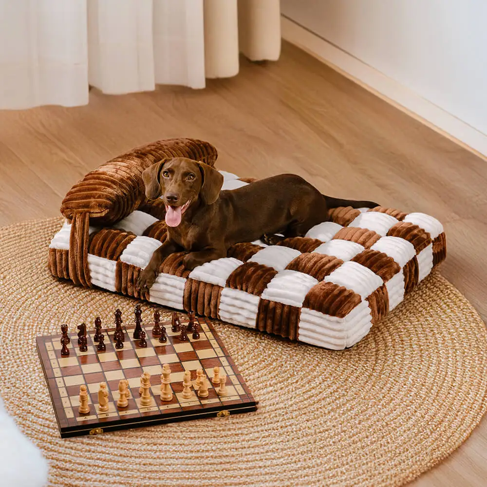 panier confort chien