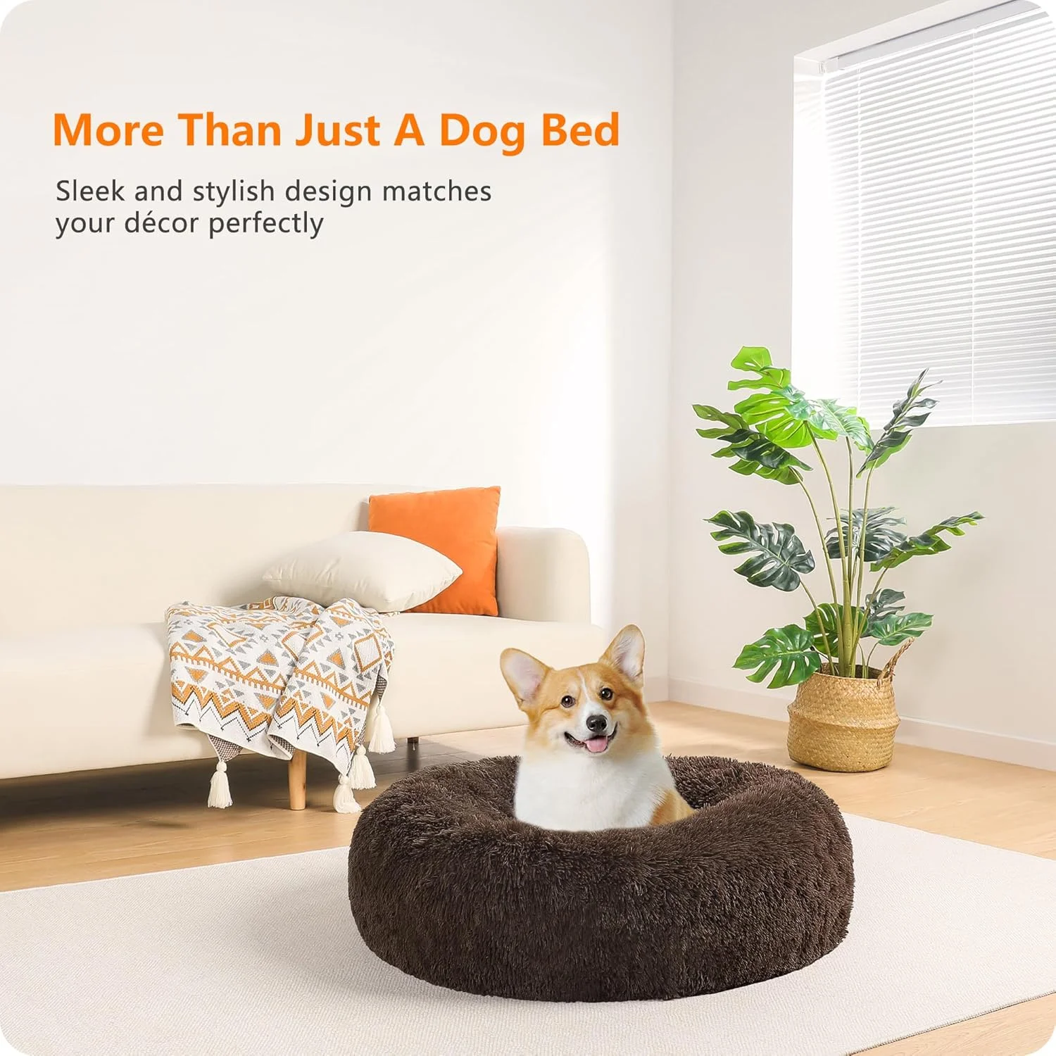 design panier chien