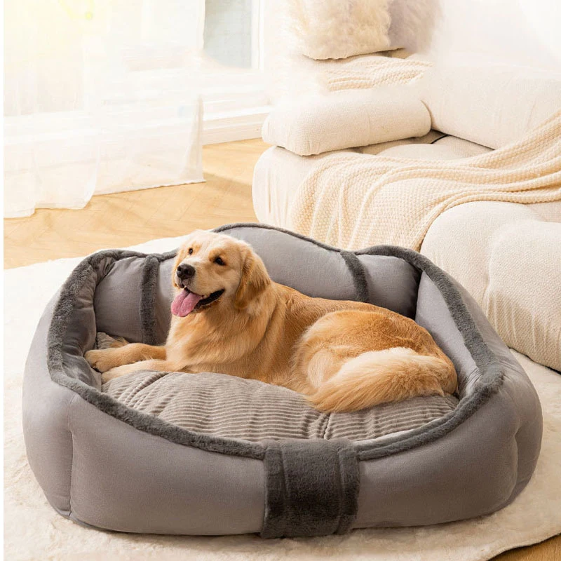 espace repos luxueux pour chien